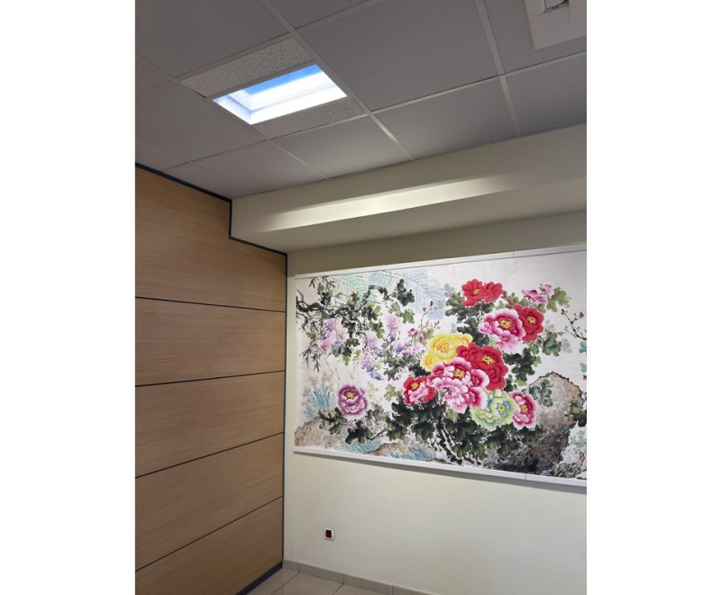 SKYPANEL DISANO
