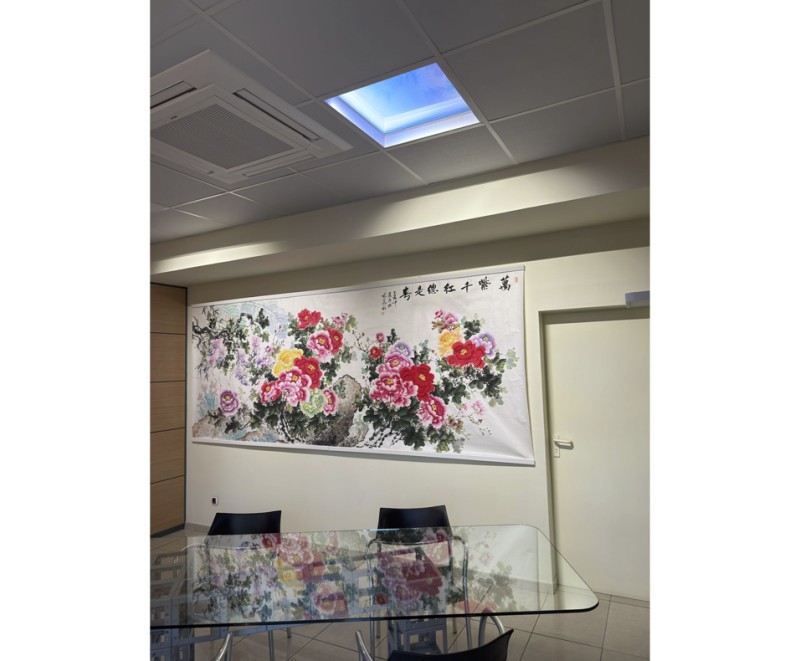 SKYPANEL DISANO
